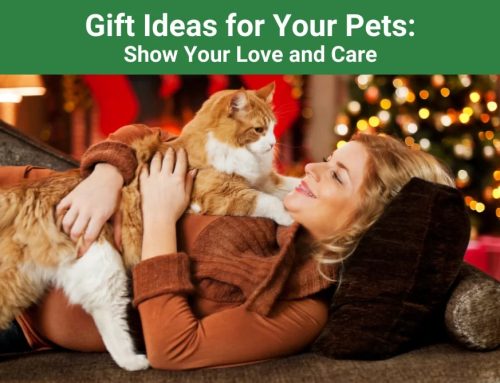 Gift Ideas for Your Pets: Show Your Love and Care